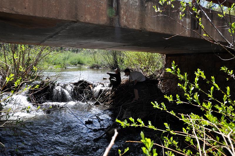 1006111451-Baldy 072.jpg